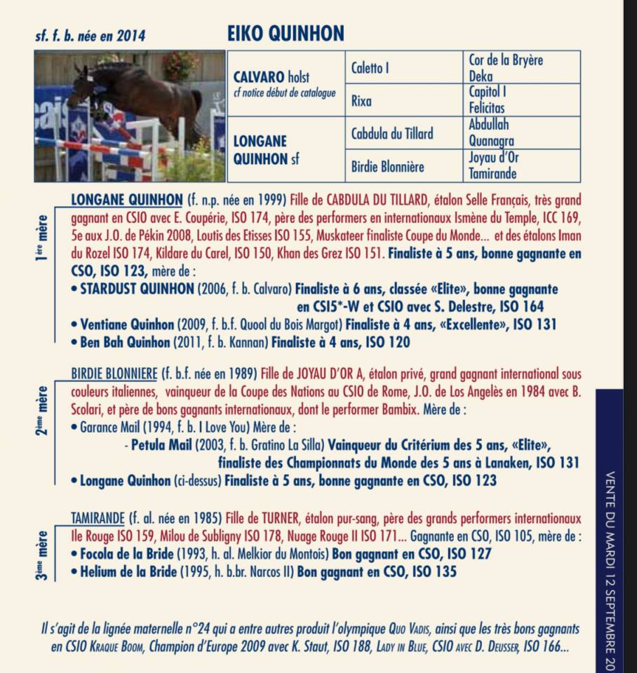 POULINI&Egrave;RE D'EXCEPTION -Propre s&oelig;ur de STARDUST QUINHON