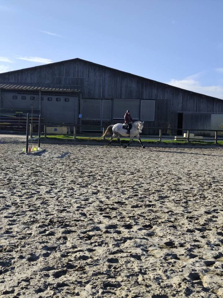 Jument Plein Papier 10 ans