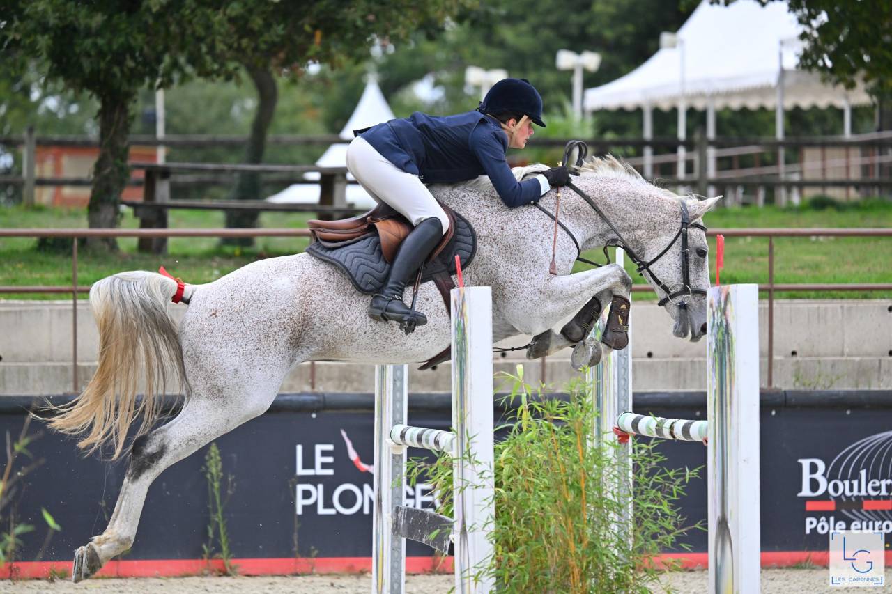 Adorable hongre id&eacute;al amateur 