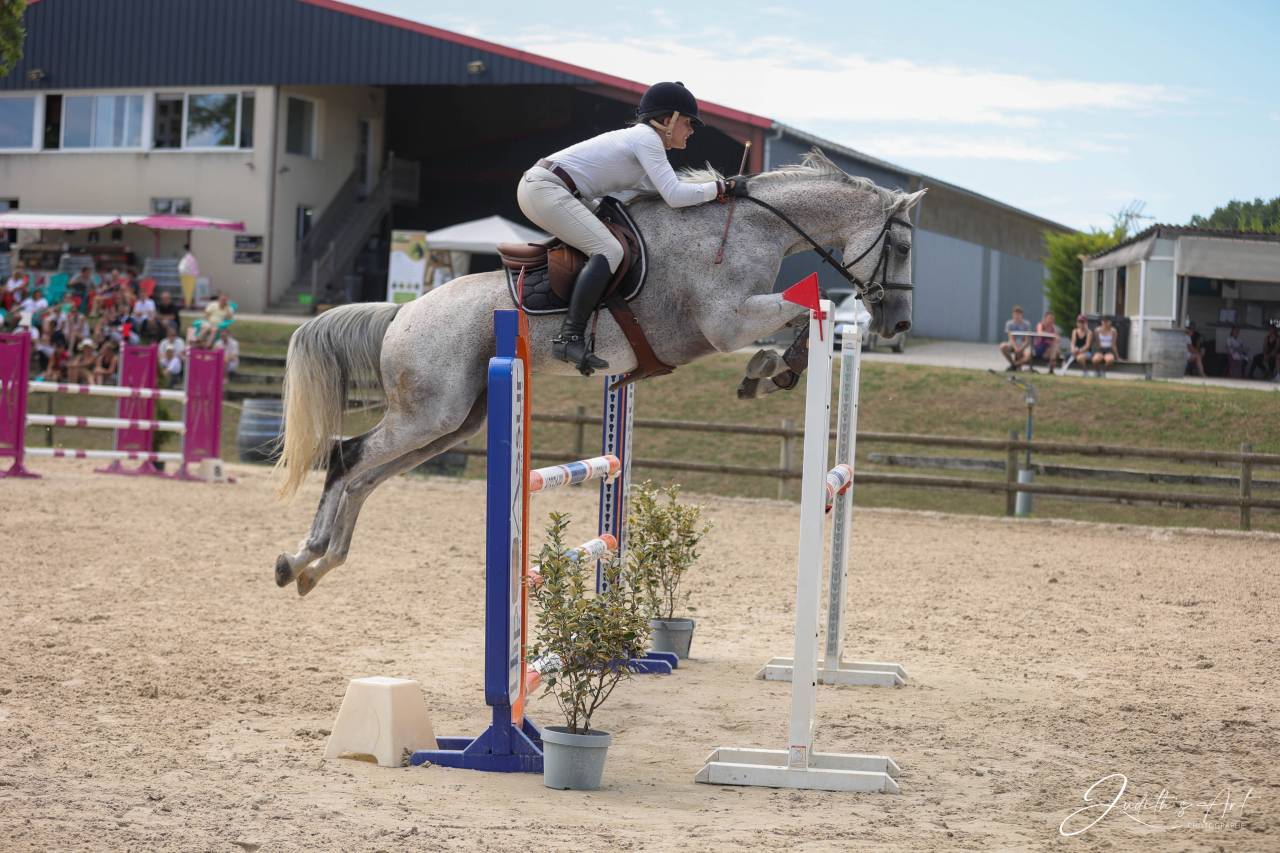 Adorable hongre id&eacute;al amateur 