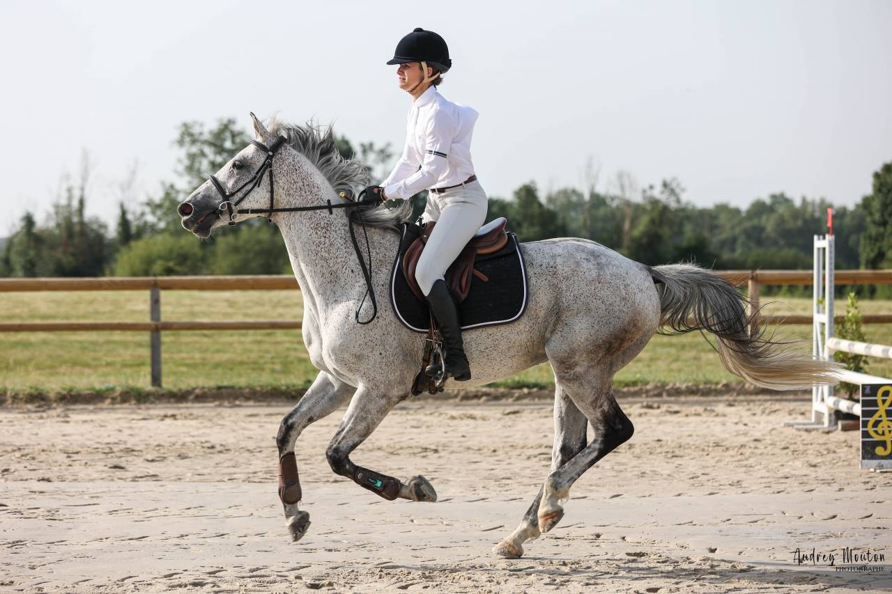 Adorable hongre id&eacute;al amateur 