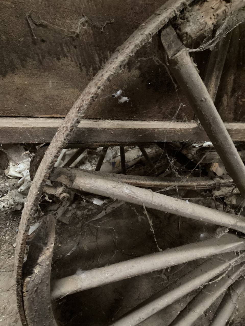 Carriole authentique 