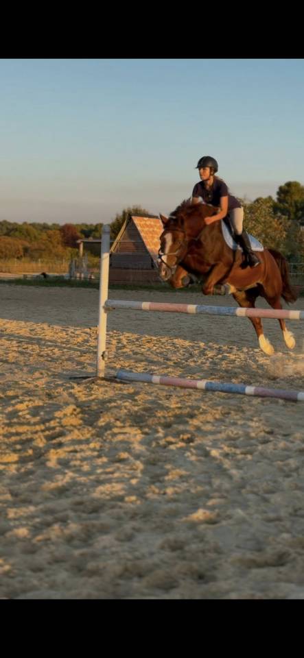 WELSH COD 158 hors cote