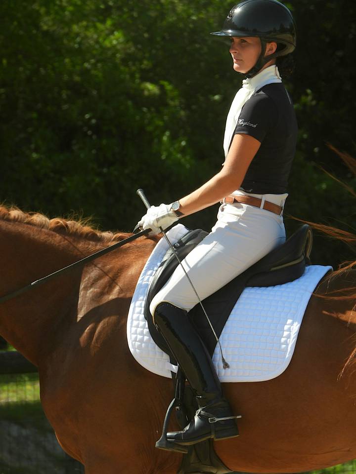 KALINE DE CASTELNAU, JUMENT 6 ANS, ALEZANE, COMPETITION