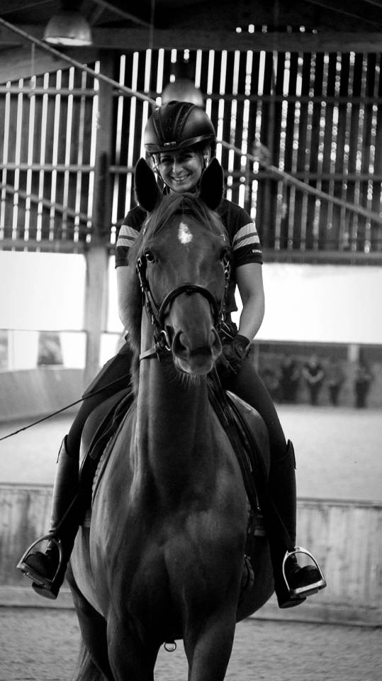 KALINE DE CASTELNAU, JUMENT 6 ANS, ALEZANE, COMPETITION