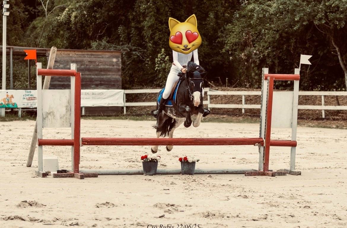 Poney ONC SELLE 