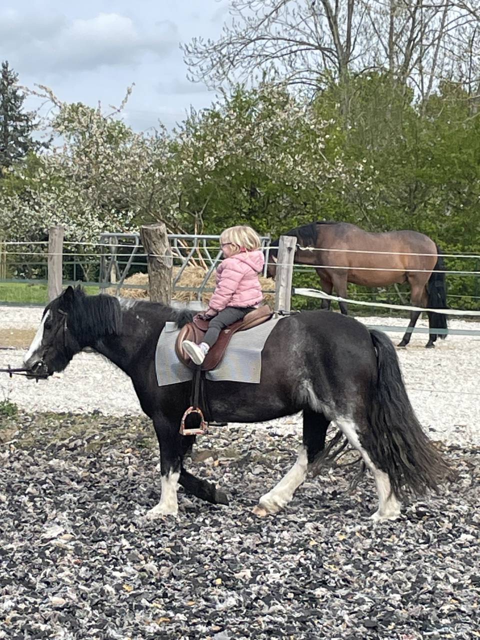 Poney ONC SELLE 