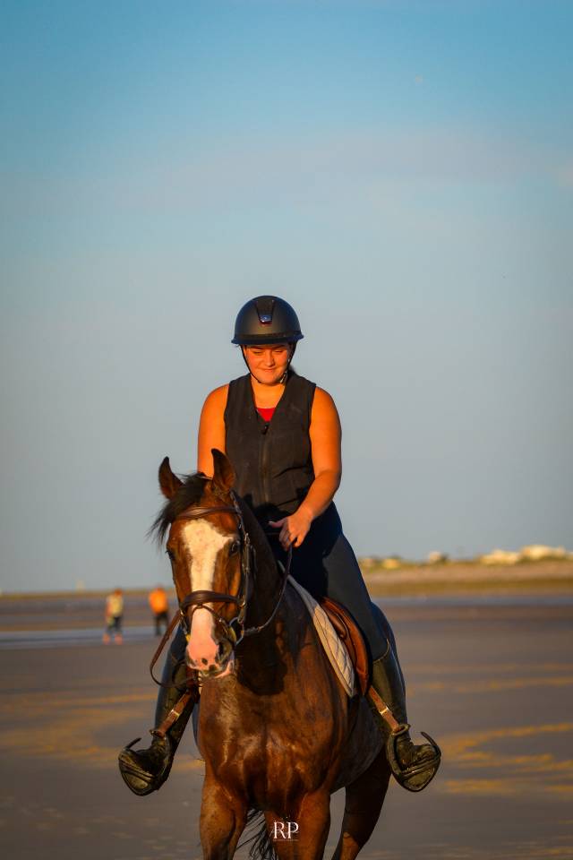 Cheval de 7 ans par Quintero