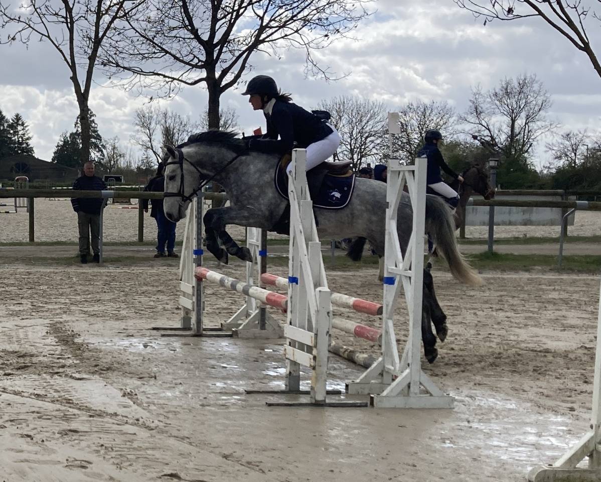 Minoss de Lalande pfs 4 ans hongre