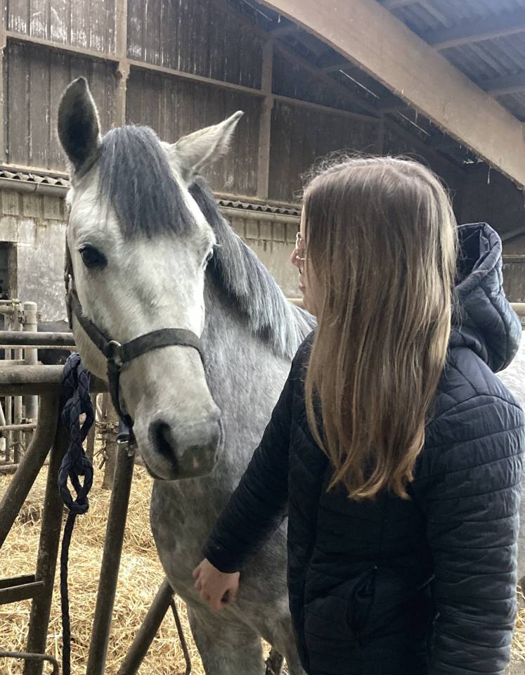 Minoss de Lalande pfs 4 ans hongre