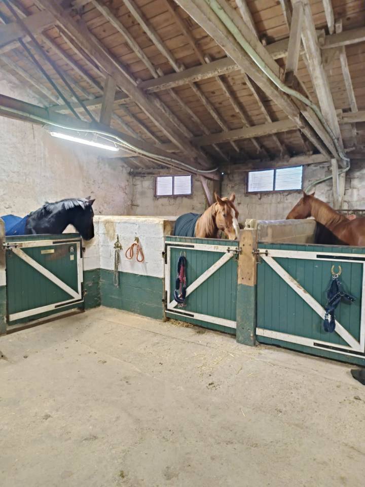 Propri&eacute;t&eacute; &eacute;questre de charme sur 4 ha