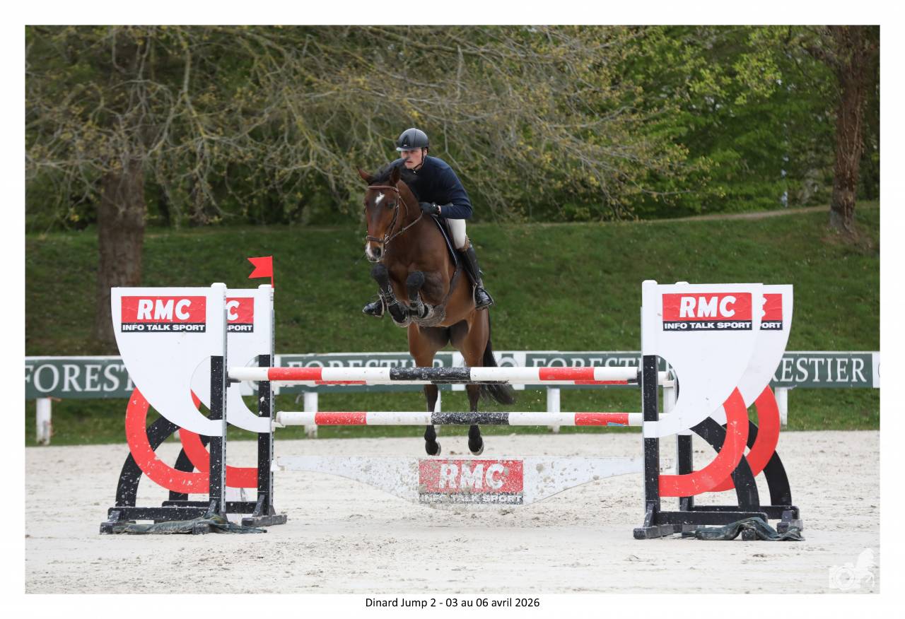 cheval de sport 7 ans