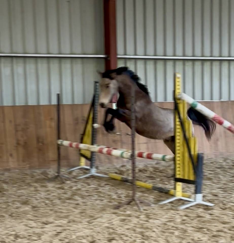 PFS coup de c&oelig;ur assur&eacute; 