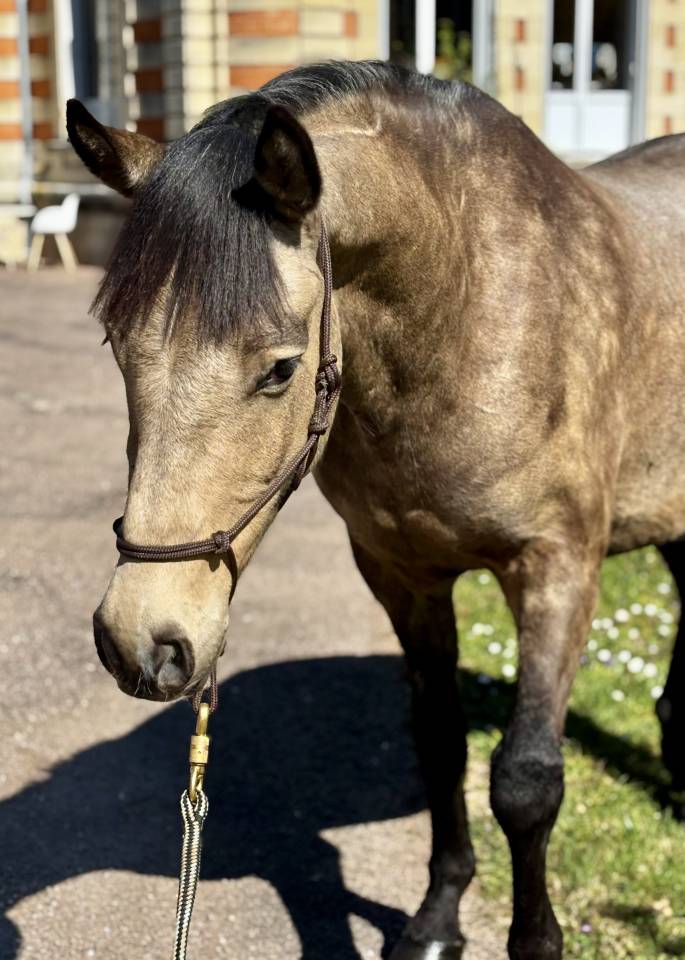 PFS coup de c&oelig;ur assur&eacute; 