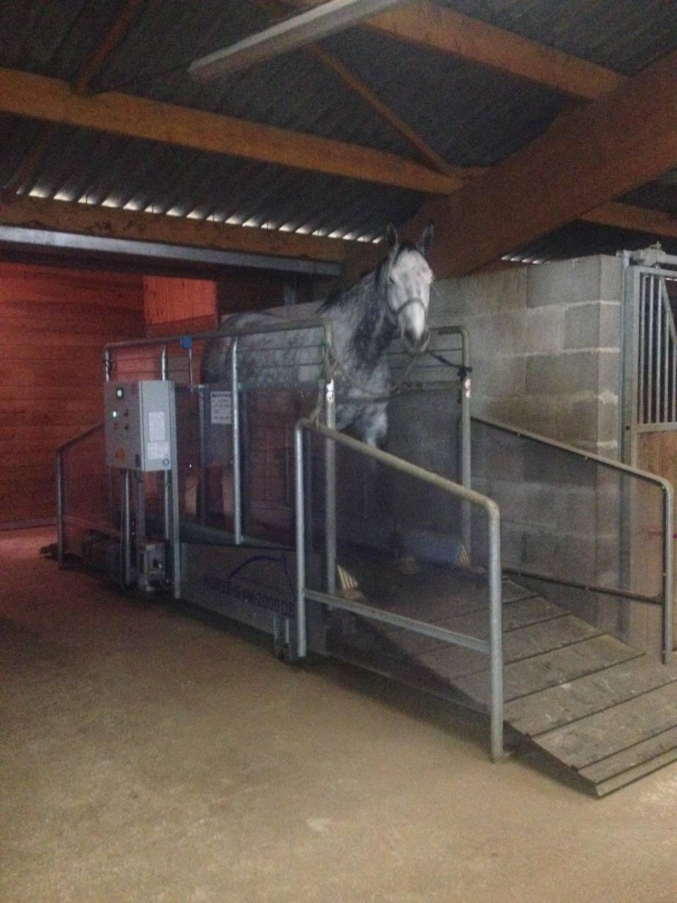 LOCATION ECURIE POUR PROFESSIONNEL