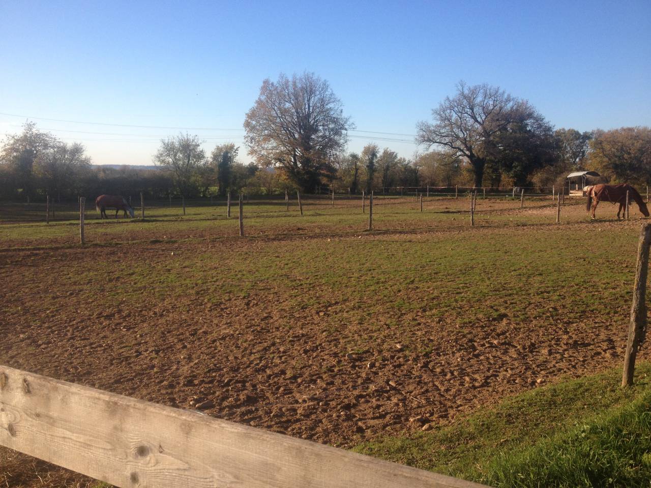 LOCATION ECURIE POUR PROFESSIONNEL