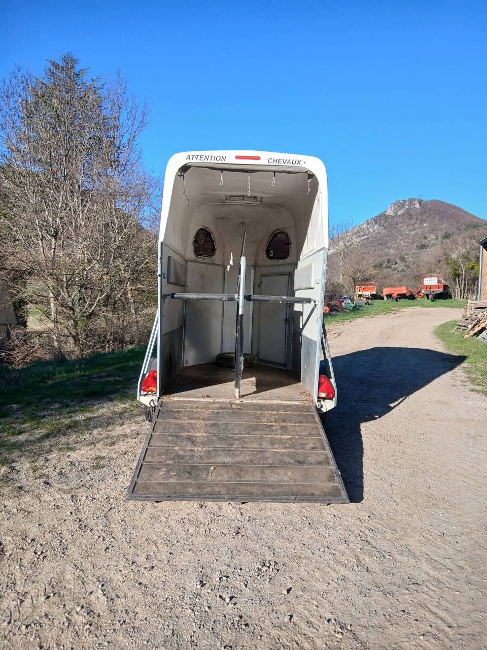 Cheval libert&eacute; 2000