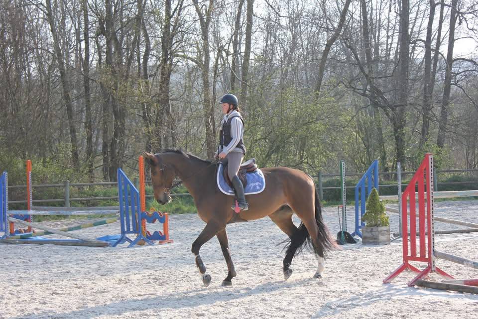 Hongre de 5ans &agrave; vendre 