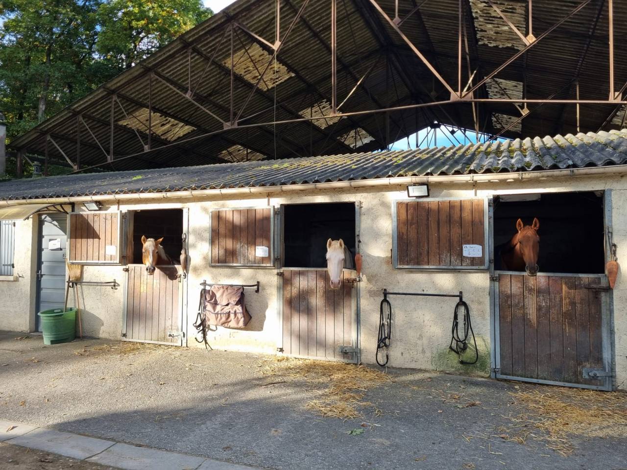 Propri&eacute;t&eacute; Equestre dans le 28 en proximit&eacute; de 78