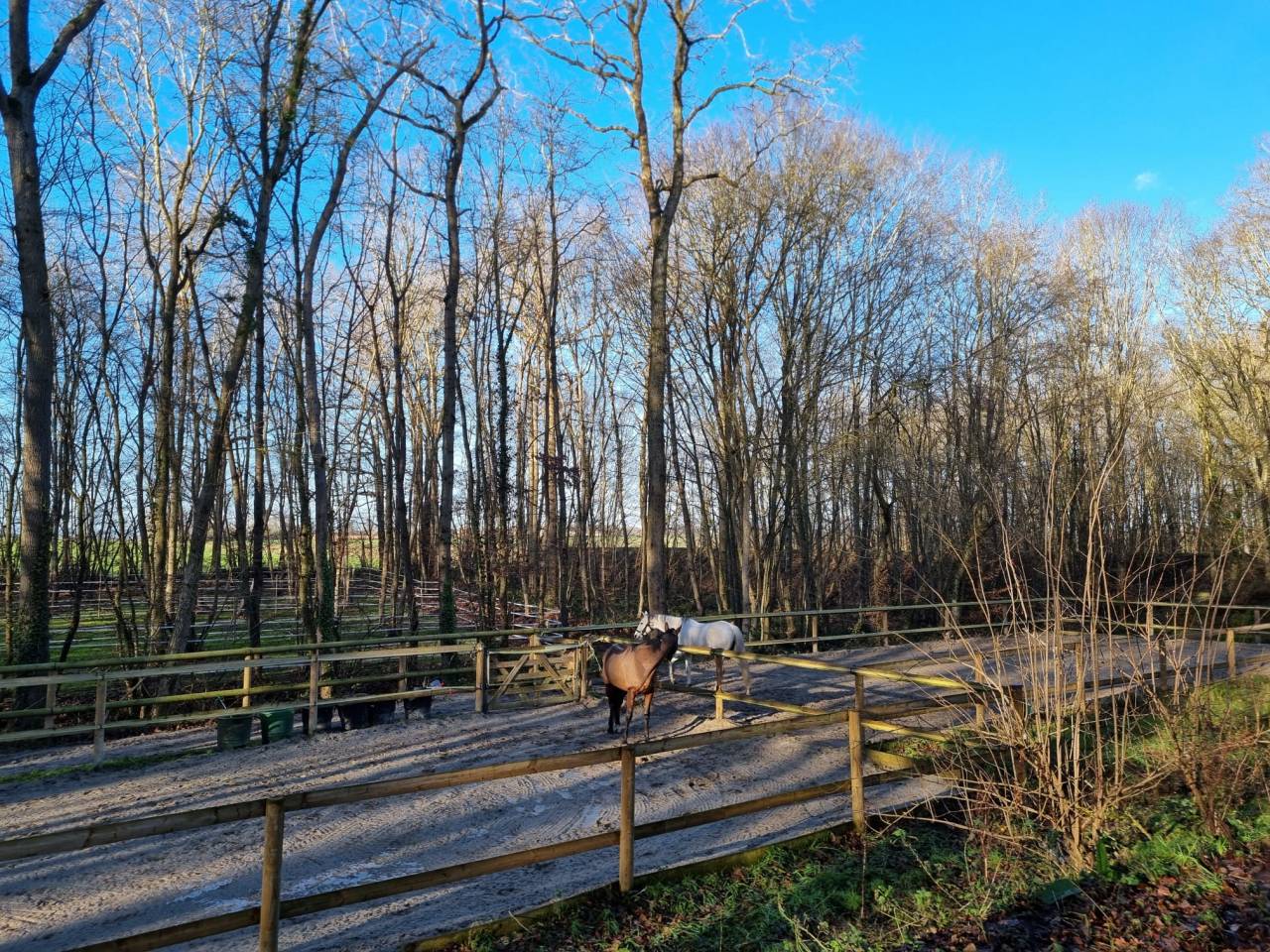 Propri&eacute;t&eacute; Equestre dans le 28 en proximit&eacute; de 78