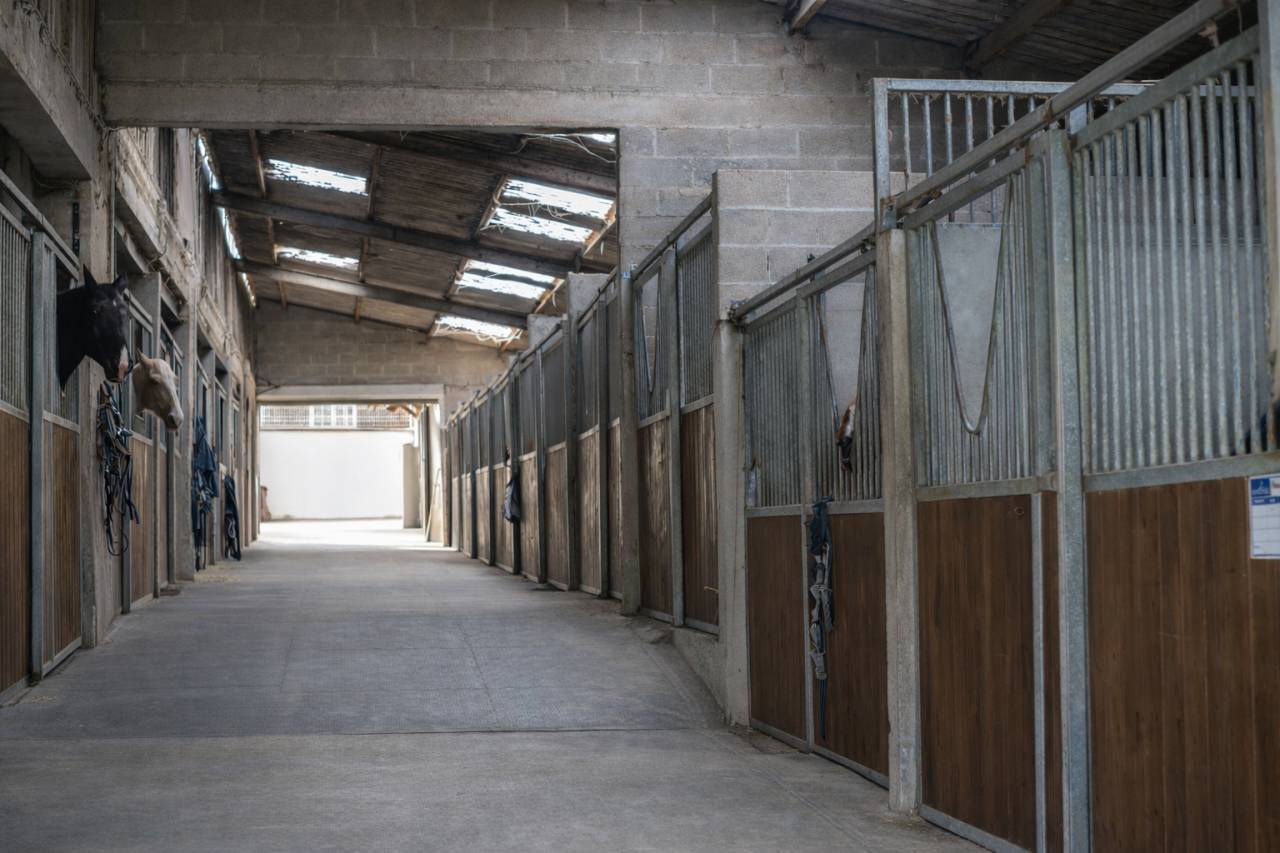 Propri&eacute;t&eacute; &eacute;questre d'exception avec potentiel immoblier