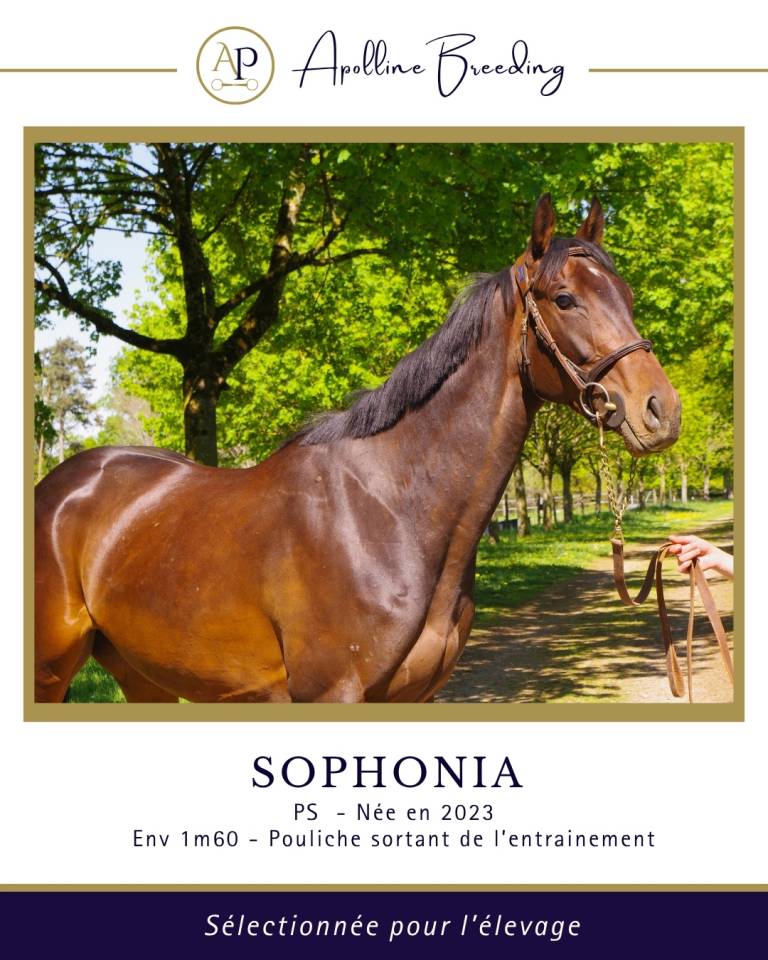 Soeur de 8 vainqueurs et 2 black type