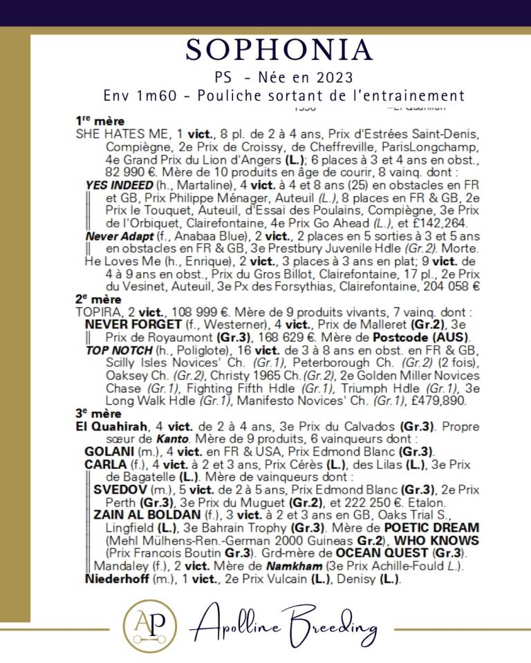 Soeur de 8 vainqueurs et 2 black type