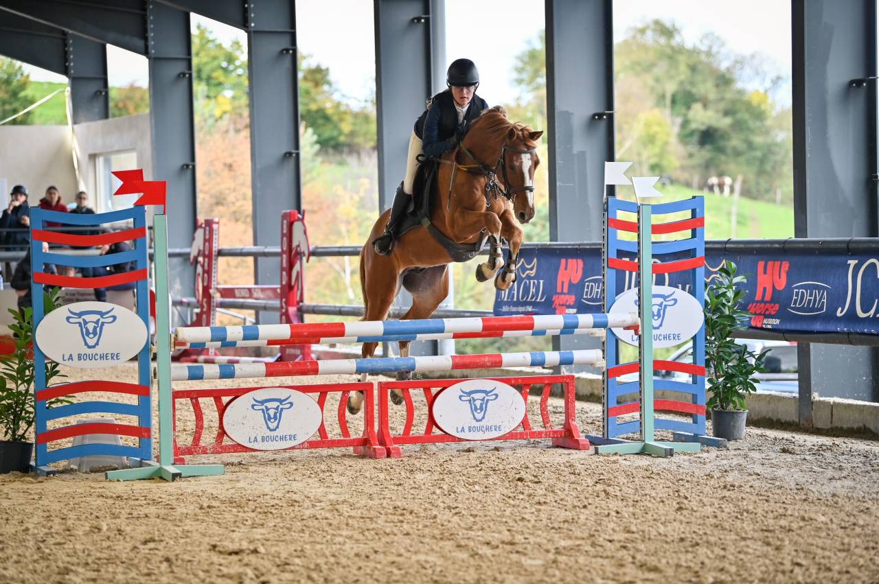 VENDS PONEY D 1,47  pr&ecirc;t P2/P1 potentiel AS