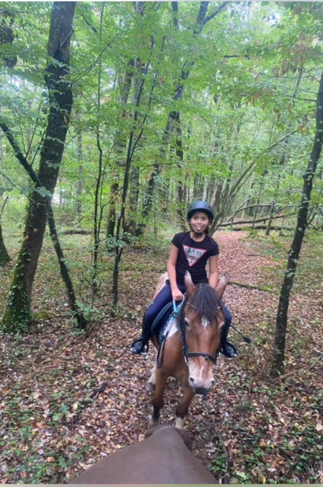Poney type pottok 7 ans ONC
