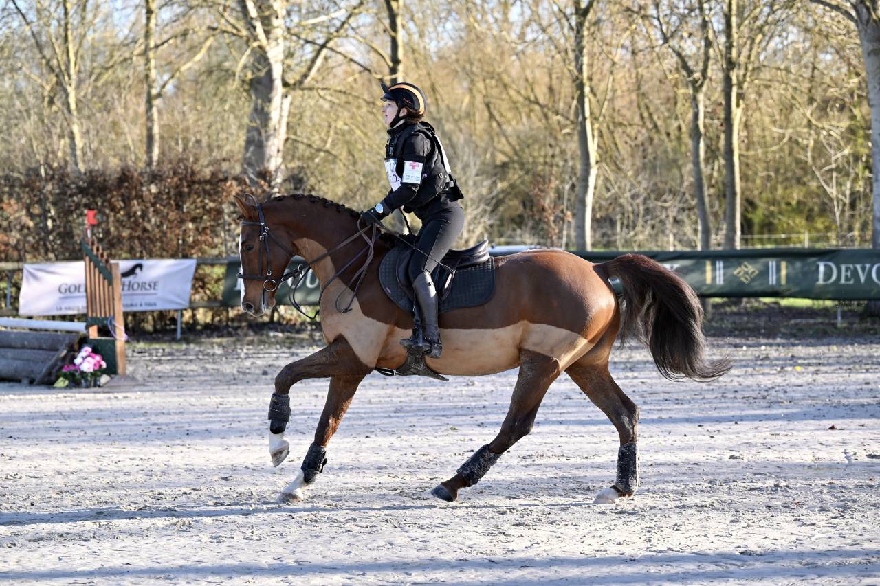 Superbe hongre de 7 ans dressage/cso