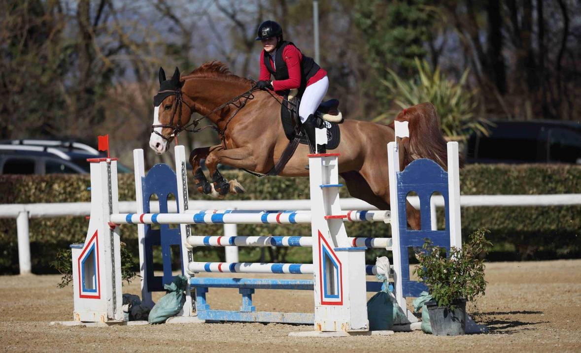 Cheval &agrave; vendre