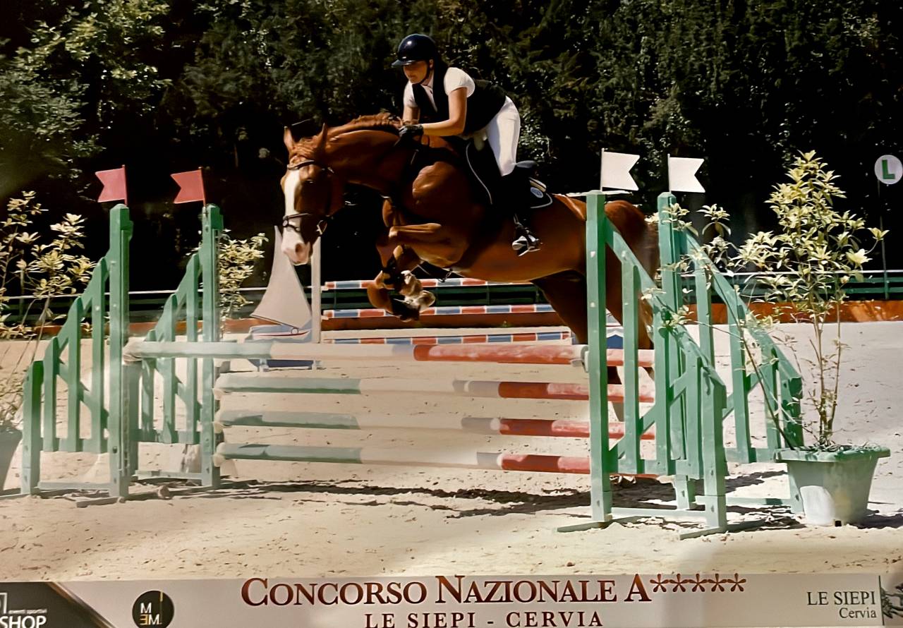 Cheval &agrave; vendre