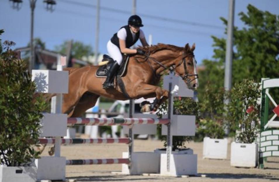 Cheval &agrave; vendre