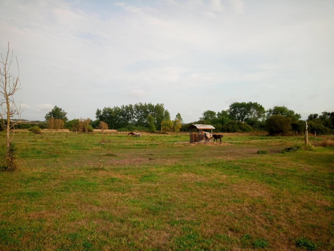 Recherche associ&eacute;(e)