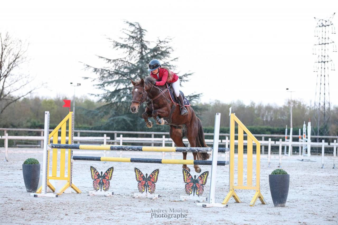 Katanga du Petit F&eacute; - class&eacute; As Poney 2 - 6 ans