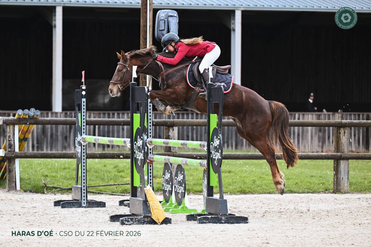 Katanga du Petit F&eacute; - class&eacute; As Poney 2 - 6 ans