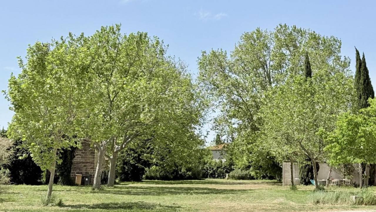 Mas Proven&ccedil;al d'Exception aux Portes d'Arles