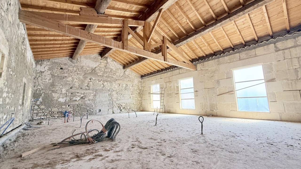 Mas Proven&ccedil;al d'Exception aux Portes d'Arles