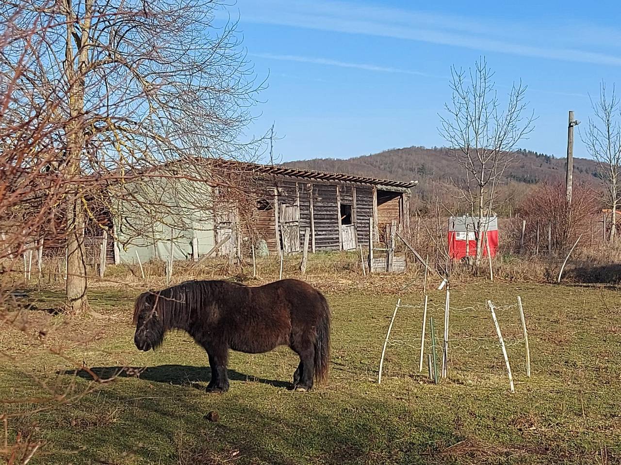 propri&eacute;t&eacute; &eacute;questre Is&egrave;re &agrave; vendre