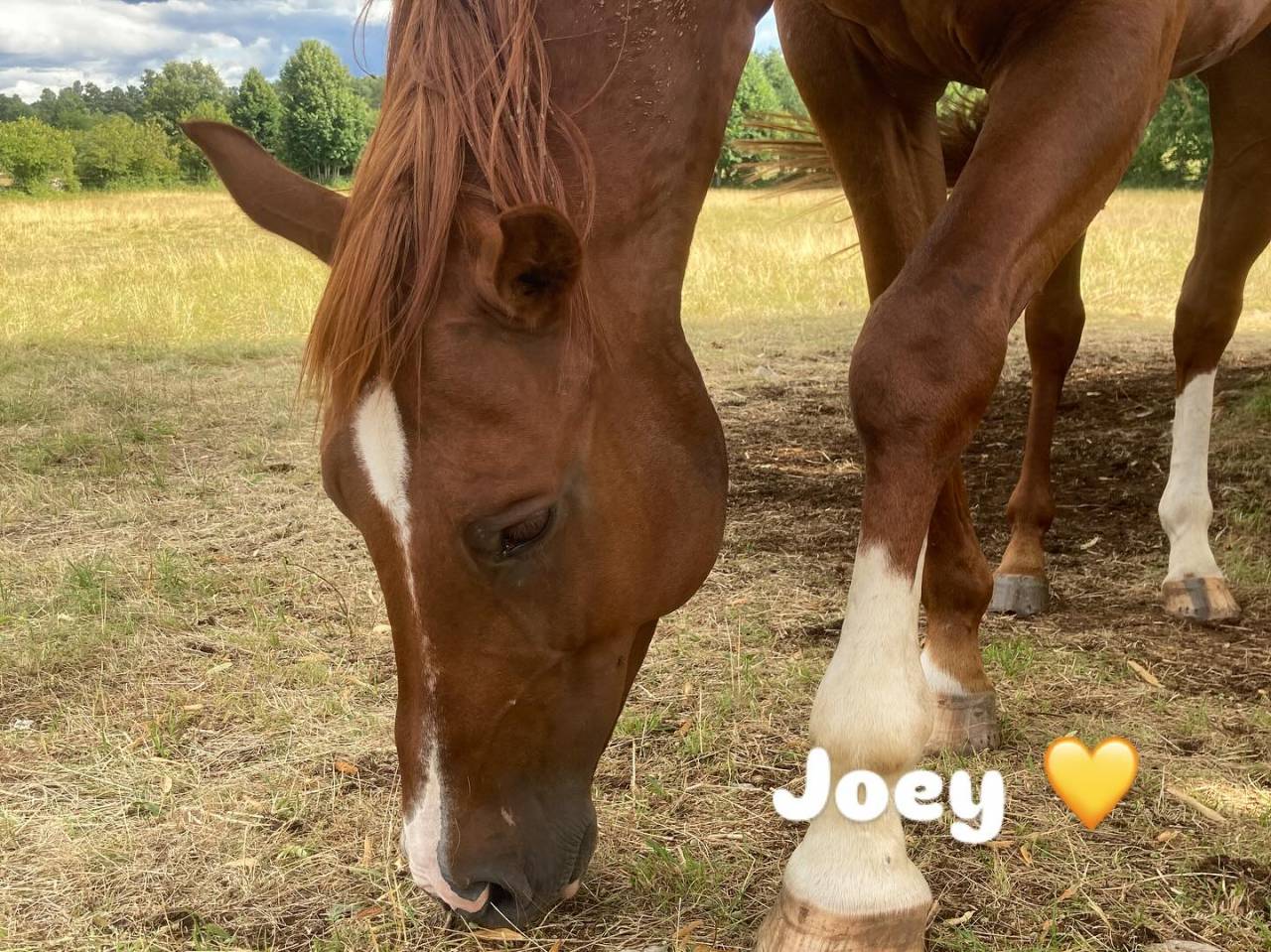 Demi-pension pour travail &agrave; pied et sur le plat