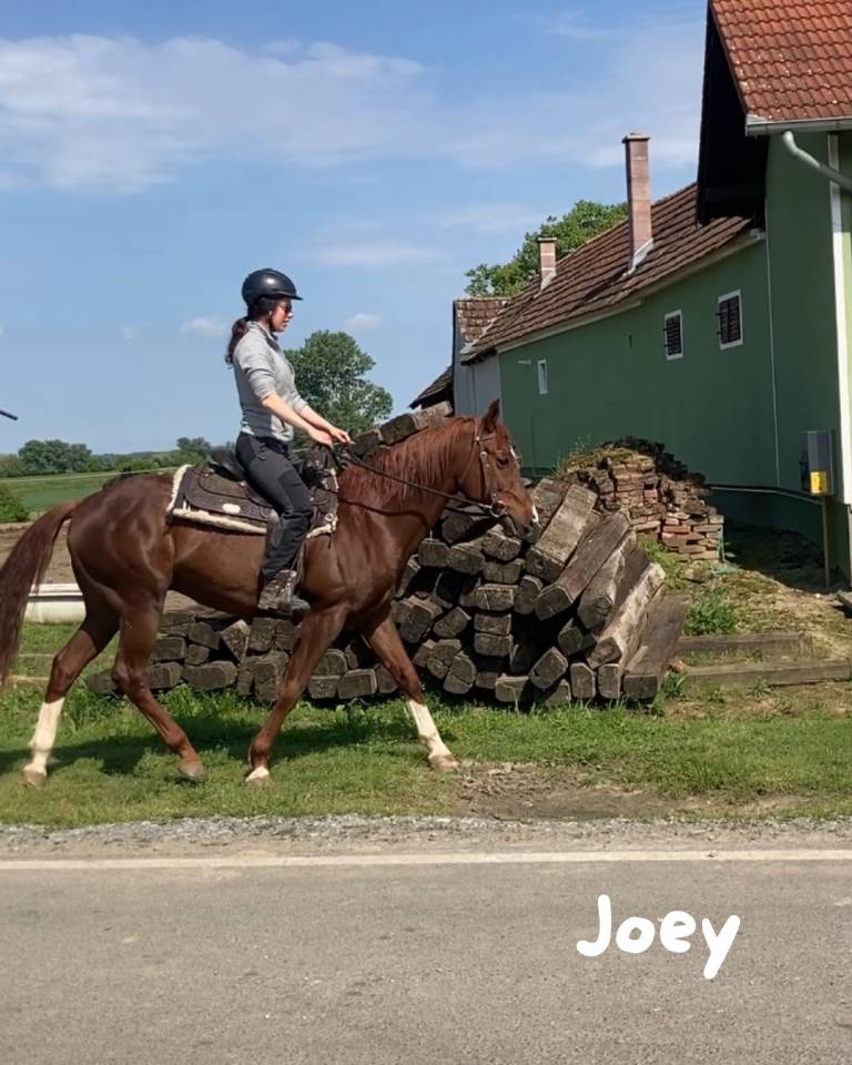 Demi-pension pour travail &agrave; pied et sur le plat