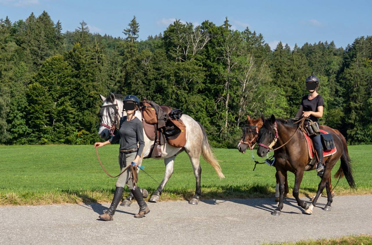 Demi-pension pour travail en exterieur et sur le plat