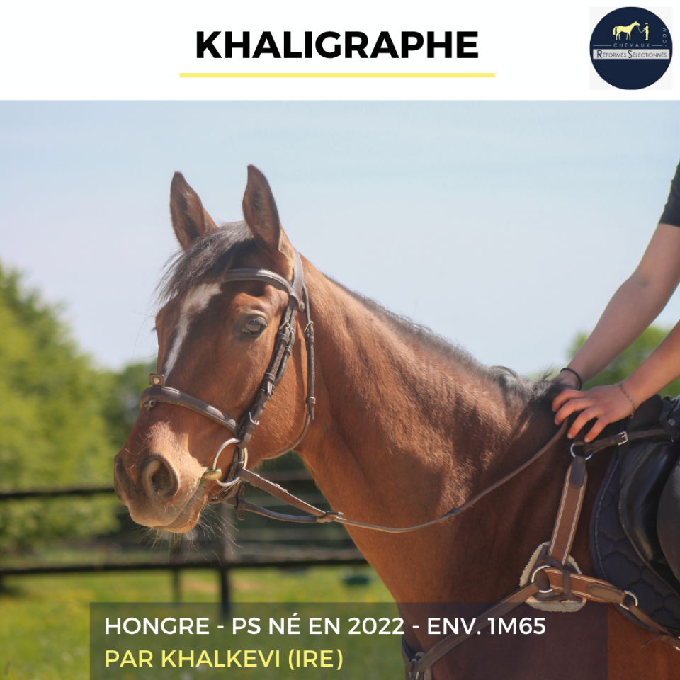KHALIGRAPHE - PS - 4 ANS