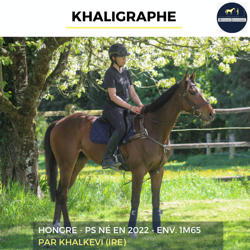 KHALIGRAPHE - PS - 4 ANS