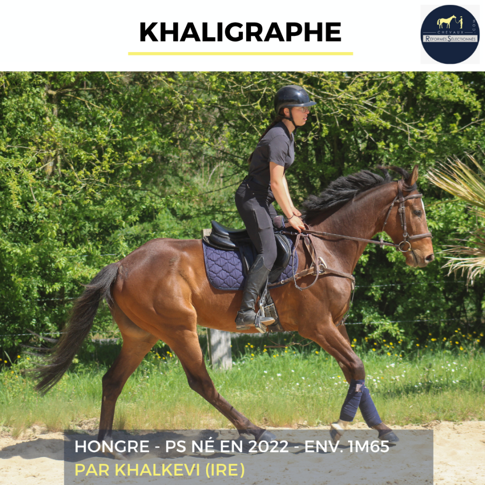 KHALIGRAPHE - PS - 4 ANS