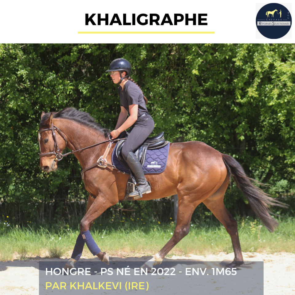KHALIGRAPHE - PS - 4 ANS