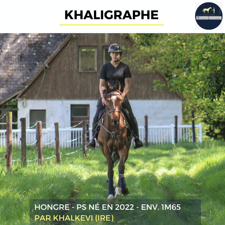 KHALIGRAPHE - PS - 4 ANS