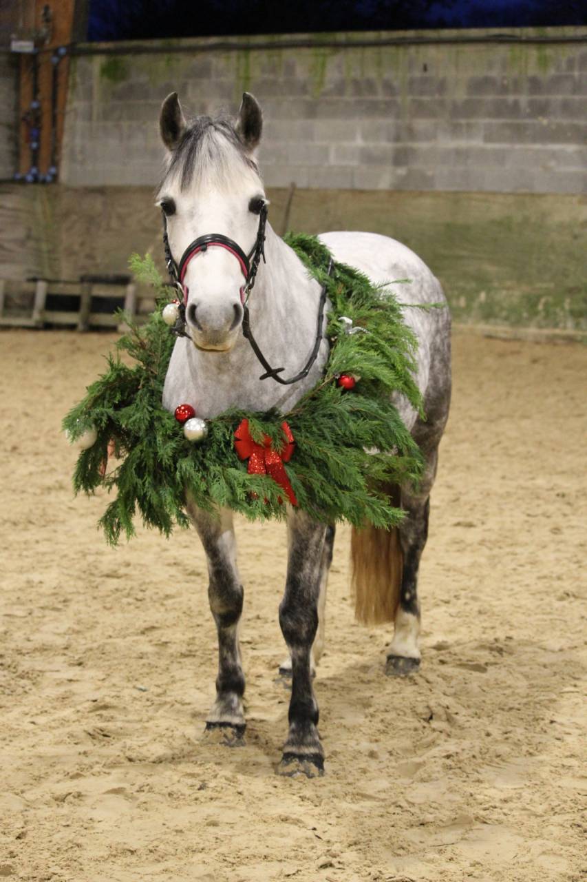 Inaya ponette ONC de 8ans