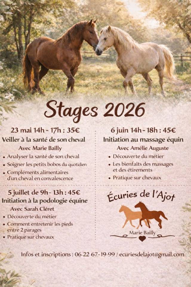 Stages bien-&ecirc;tre 