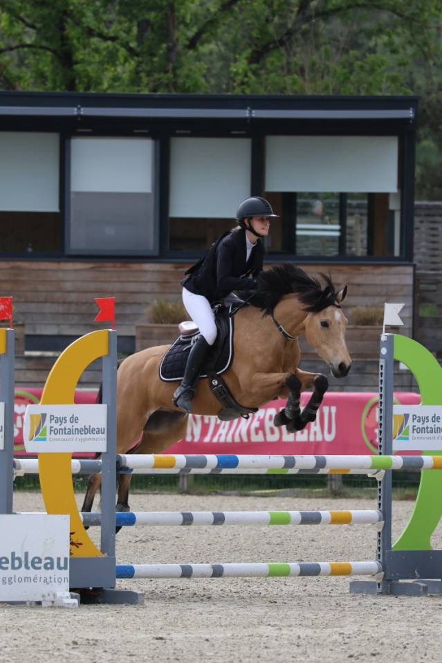 Poney D de CCE &agrave; Louer